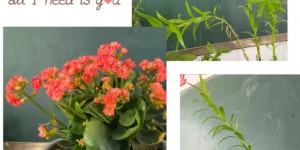 【千亿体育】活得有趣，是最好的生活状态