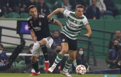 【千亿体育】壕！天空：英超升班马富勒姆同意2000万镑签葡萄牙国脚帕利尼亚