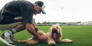 【千亿体育】格拉利什：我爱我的狗胜过一切，还把它带去过球队训练场