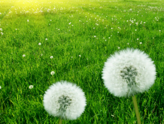 仍然:这个女人不寻常的图片 仍然:这个女人不寻常