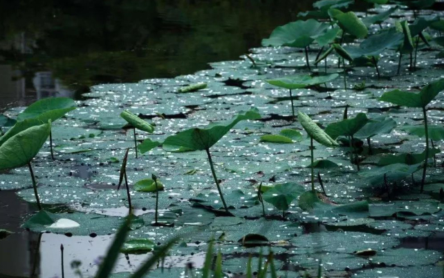 雨的另一面的图片 雨的另一面