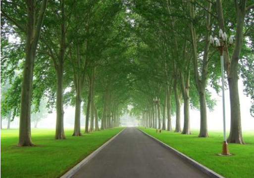 免费好友不免费的图片 免费好友不免费