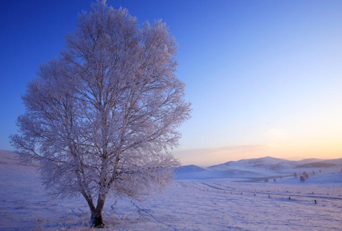 冬至那天的图片 冬至那天