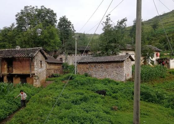 拿一个桃子就可以了!的图片 拿一个桃子就可以了!