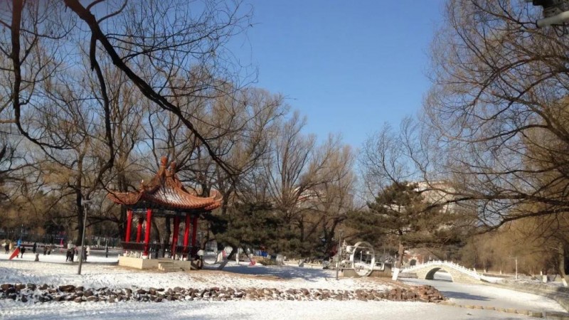 土埋半截的图片 土埋半截