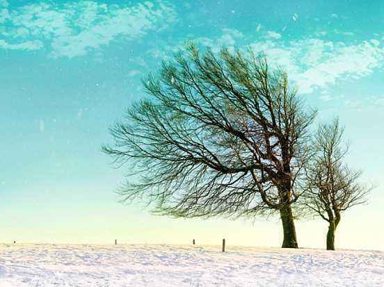 等风来,不如追风去,追风去,不如成为风。的图片 等风来,不如追风去,追风去,不如成为风。