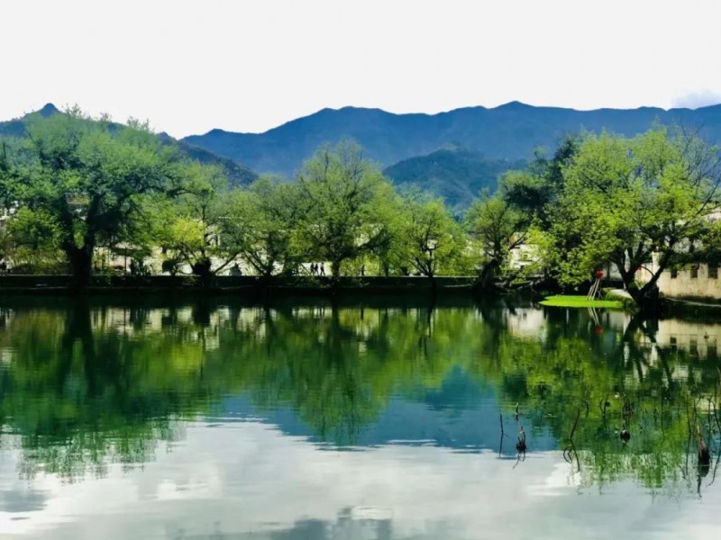 风起暖意道别离(一)的图片 风起暖意道别离(一)