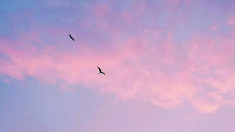 把这青春唱完的图片 第1张 把这青春唱完