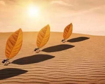 行不行,干了再说的图片 行不行,干了再说