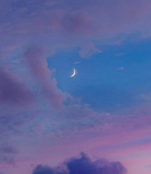 语文教学中的“真”——几点真体会的图片 语文教学中的“真”——几点真体会