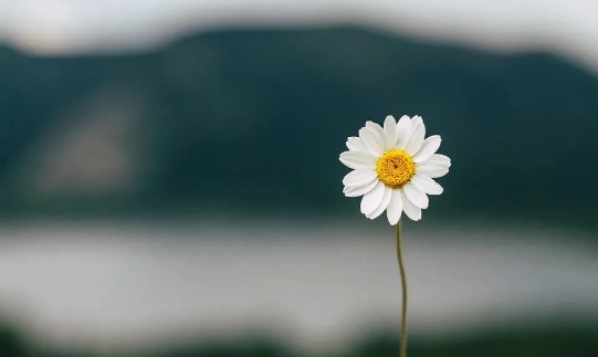 世界的尽头的图片 第1张 世界的尽头