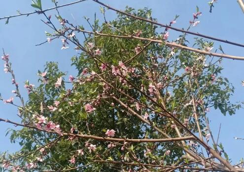 亲密关系的图片 亲密关系