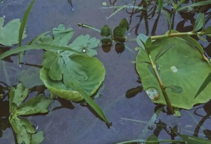 一个人的安静的图片 一个人的安静