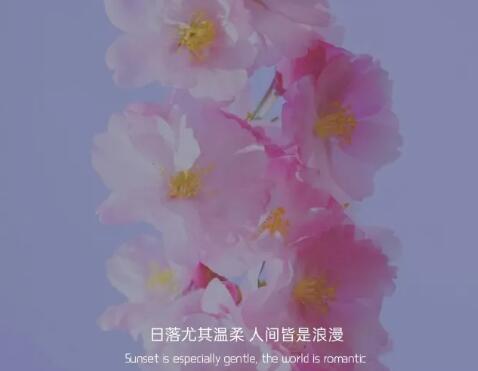 那些你所不知道的 幕后的图片 那些你所不知道的 幕后