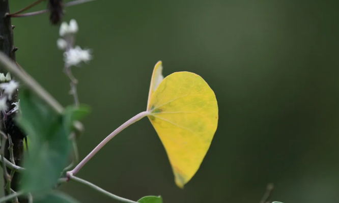 多久没开心的图片 多久没开心