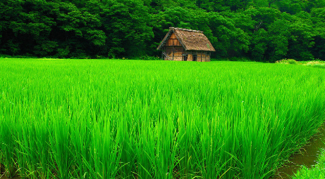 绑架的图片 绑架