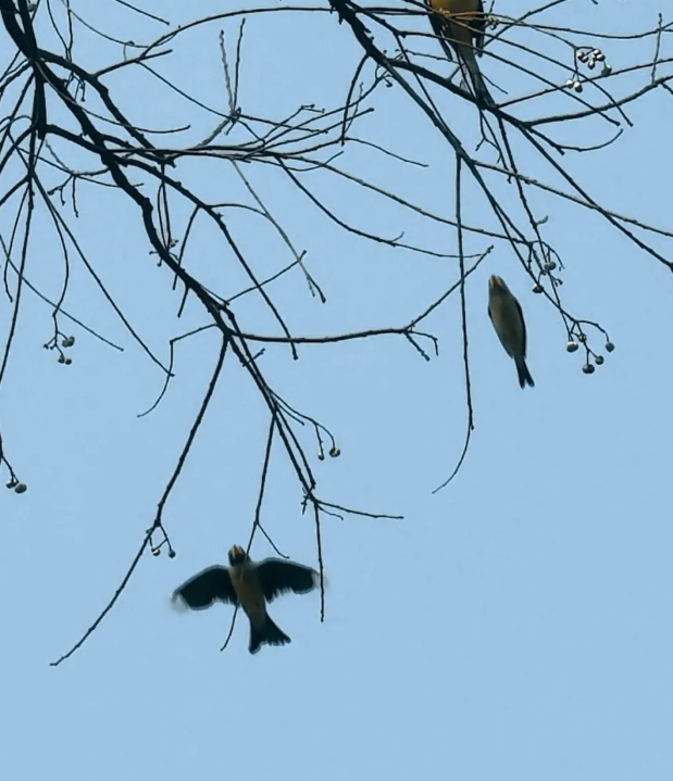 在到处之间找我