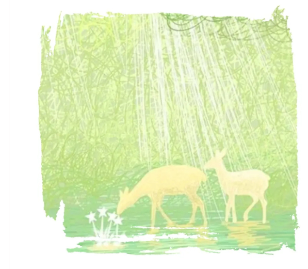 思绪如雪，致我的2021