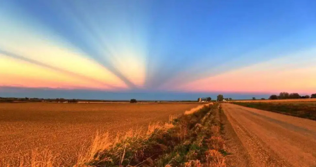 除匪记的图片 除匪记