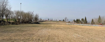 一年之计在于春，看情况，今年春季又泡汤了。