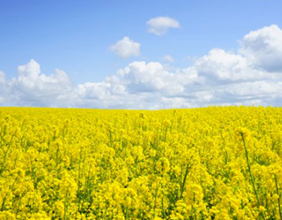 请好好珍惜你的“爱人”