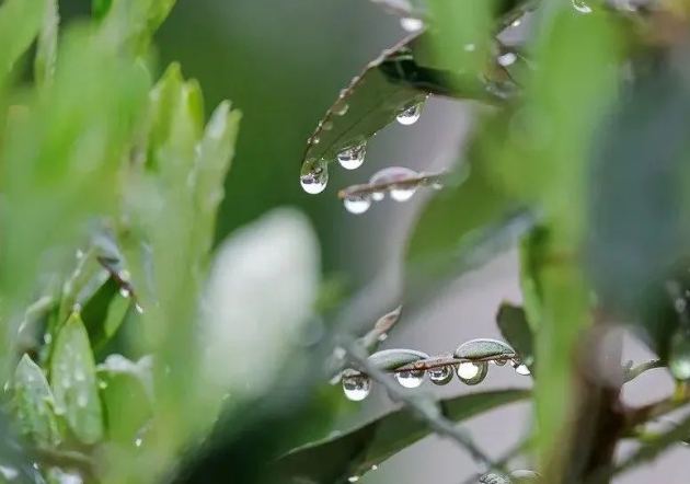 其实，每一场遇见，都是不可多得