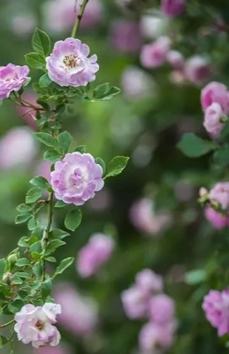 坐船《北上》,看时光中的大运河的图片 坐船《北上》,看时光中的大运河