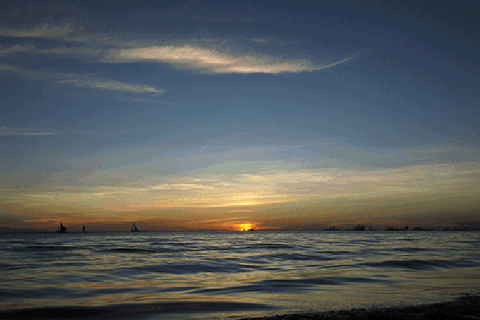 手机掉到池塘里，又捡回来的故事