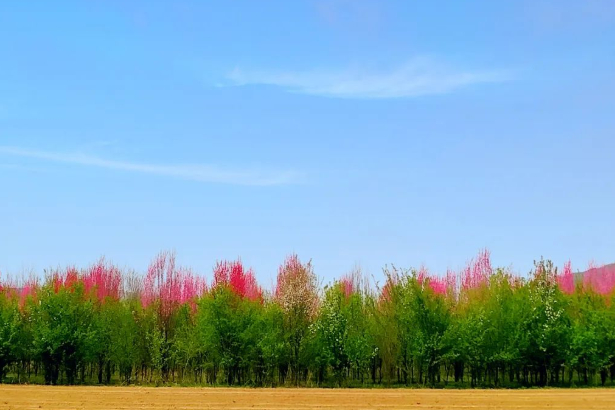 你看我有几份像从前的图片 你看我有几份像从前