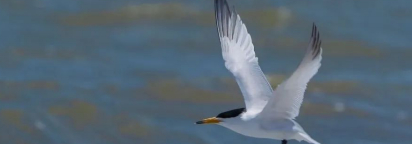 第二天的图片 第二天