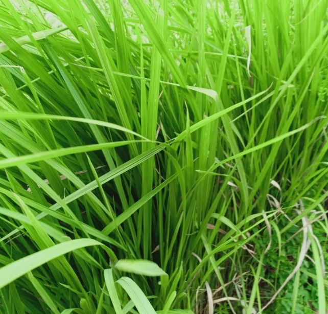 这世界一如既往的图片 这世界一如既往