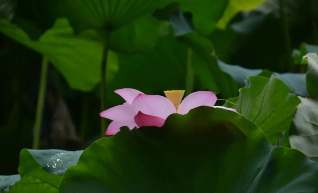 与你的笑容一模一样的图片 与你的笑容一模一样