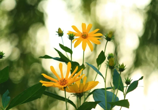 7月10日记的图片 7月10日记