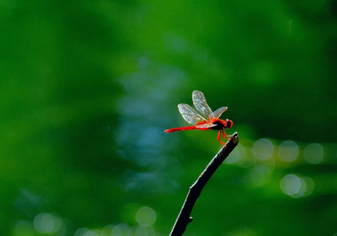 盛夏.神迹的图片 盛夏.神迹