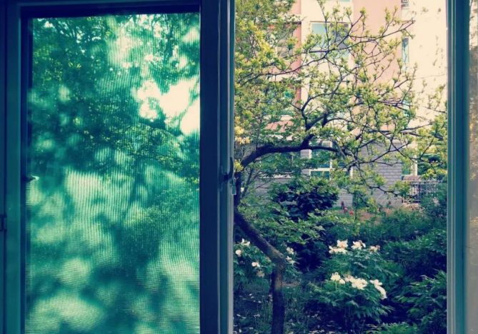 远树含烟的图片 远树含烟