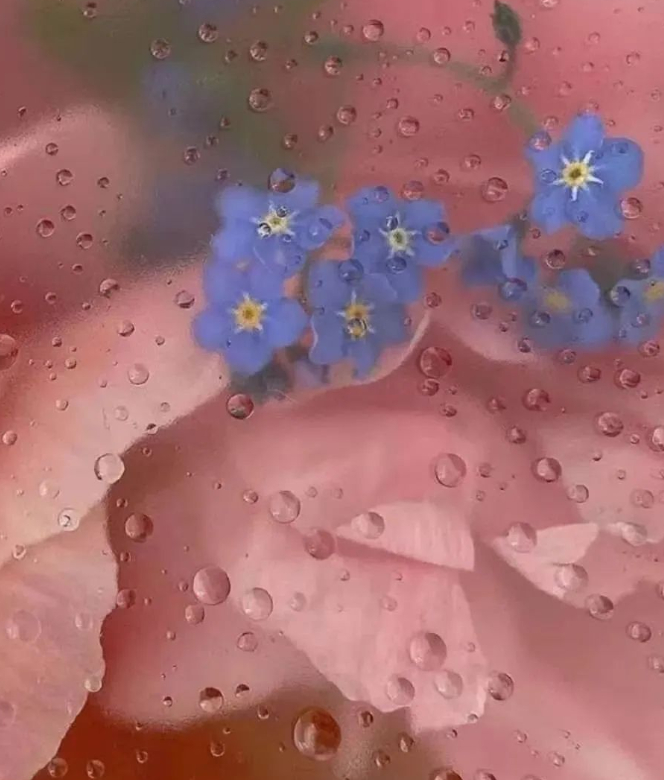 “我没事”的幸福的图片 “我没事”的幸福