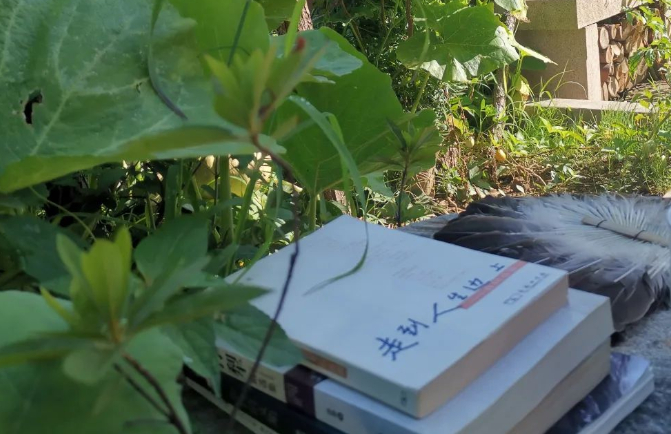 在烈日与暴雨下……的图片 在烈日与暴雨下……