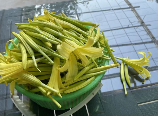 家有黄花菜的图片 家有黄花菜