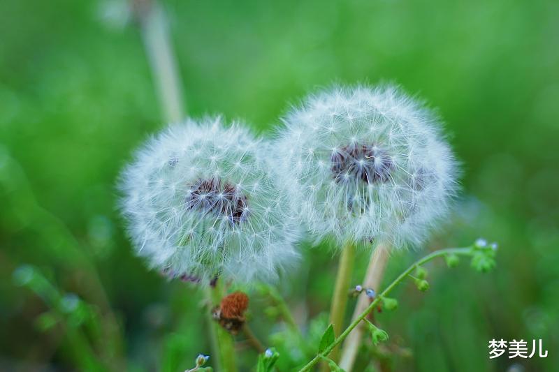 沉迷婚外情的人,用恶毒之心尽毁一切,令人扼腕叹息