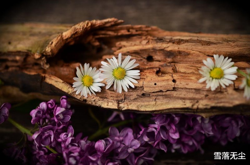 夫妻之间,能做到一点,便能化解绝大多数恩怨