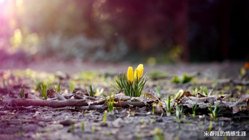 婚姻,不是两个人的事,是两个家庭之间的事