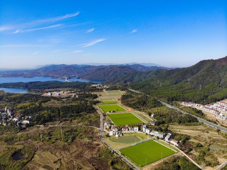 为何中国足球老不行?看看这建成仅两年即将被拆除的13块球场吧!