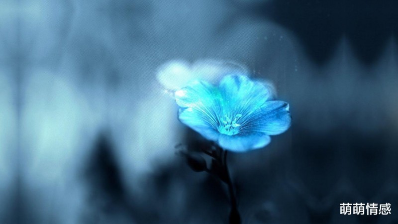 婚姻中能不能长久，取决于你是否了解两个人的精神世界