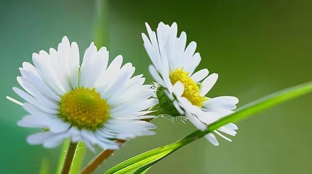 因不满婆婆给小姑子陪嫁,女人要求分账、离婚:动了我的“蛋糕”