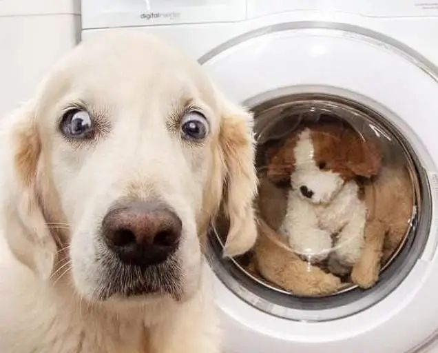 笑话:我给法官邮寄了包裹,但写的是对方当事人的名字