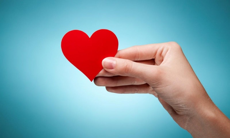 爱情里没有赢家