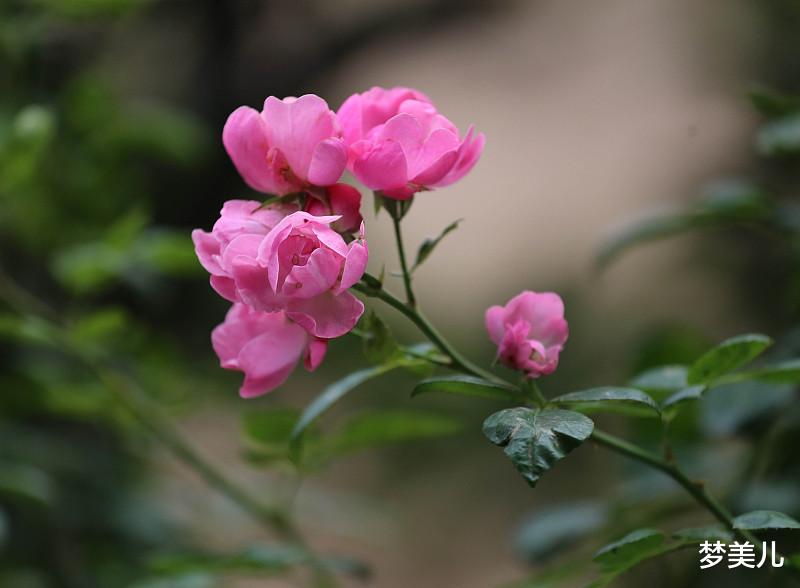 色胆人性的可怕,多少女人成了现实版潘金莲?