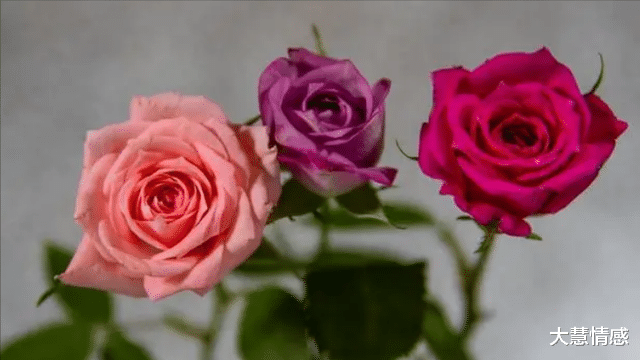 男人在你面前暴露出这些破绽,是真的很喜欢你,别怀疑