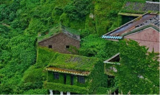 成片的小洋楼被植物覆盖,变成“无人村”,却成就了一个“仙境”