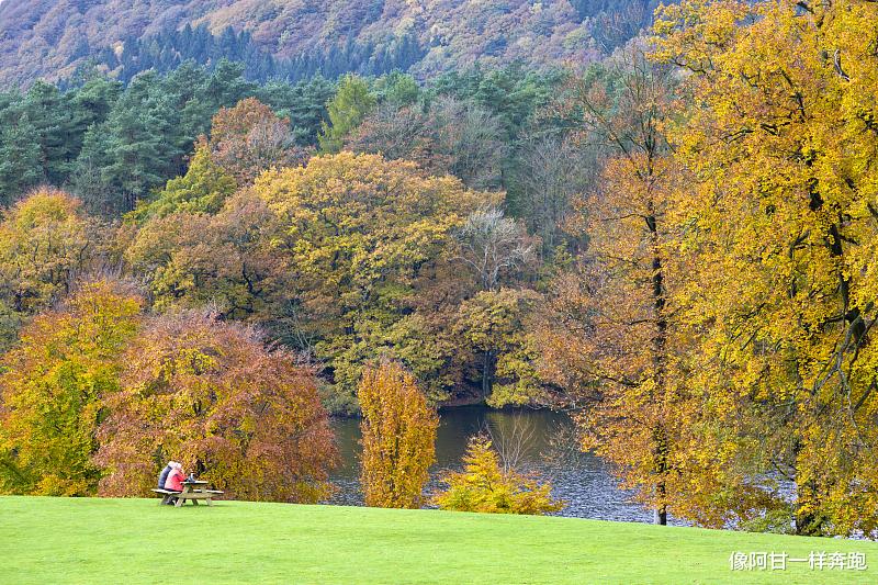 不论男女,如果在婚姻里总说这几句话,婚姻能长久才怪!